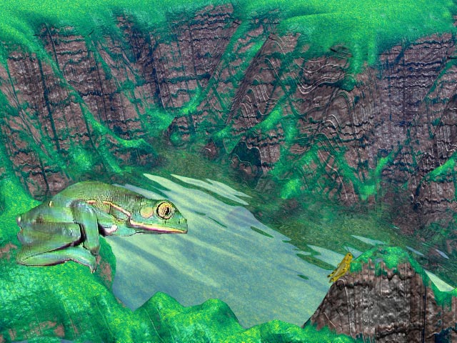 Frog Pond (99k
