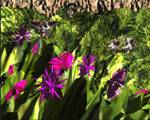 Jungle Thumbnail